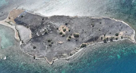 Çiçek Adası'nın hali içler acısı: Küle döndü