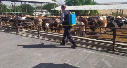 Kurban satış ve kesim yerleri ilaçlanıyor
