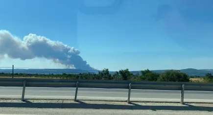 Çanakkale'de orman yangını