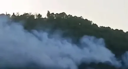 Bayraklı'da ormanlık alanda yangın çıktı!