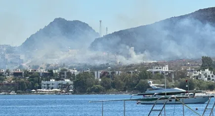 Bodrum'da 2 noktadaki yangın kontrol altına alındı