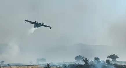Aliağa'da otluk alanda yangın