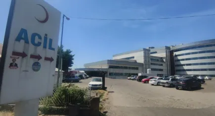 Bingöl'de kurban kesimi sırasında 32 kişi hastanelik oldu