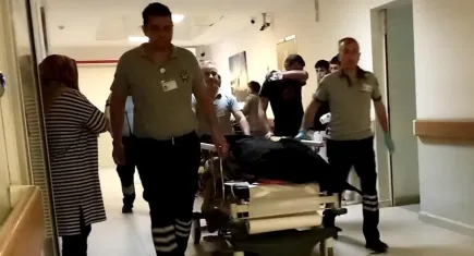 Ihlamur ağacından düşen adam hayatını kaybetti
