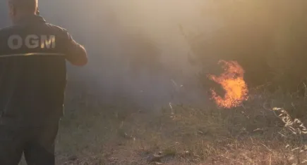Balıkesir Susurluk'ta orman yangını