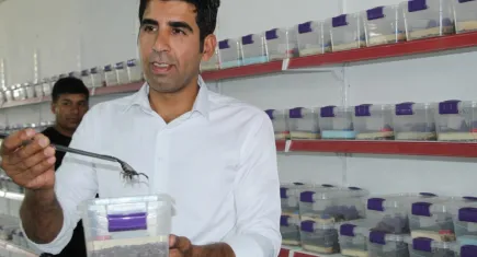 Bir makale okudu... Zehir üretmeye başladı