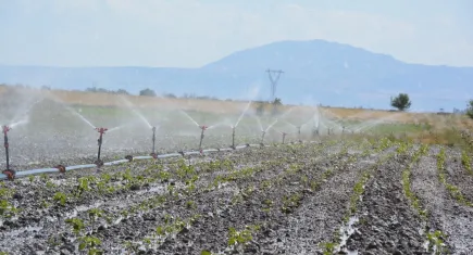 Denizli’de dev sulama projesi: Ülke ekonomisine 10 milyar lira katkı hedefleniyor