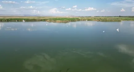 Eber Gölü’nde su seviyesi azaldı
