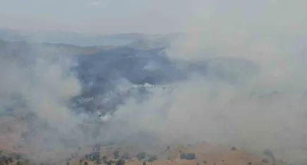 Elazığ'da orman yangını!