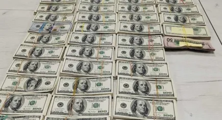 Televizyona gizlediği 340 bin dolarla yakalandı