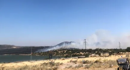 Aliağa'da otluk alanda çıkan yangın söndürüldü