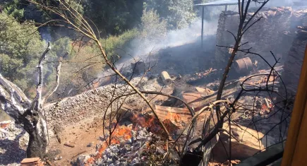 Aydın’da iki ayrı noktada yangın
