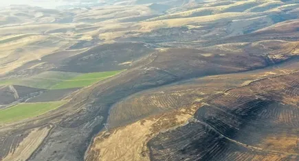 Dicle Elektrik’ten yangın açıklaması: Yangın elektrik iletim hatlarından kaynaklanmadı