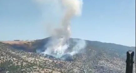 Manisa Salihli’de orman yangını