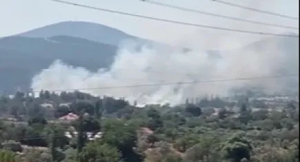 Muğla Yatağan’da yangın!