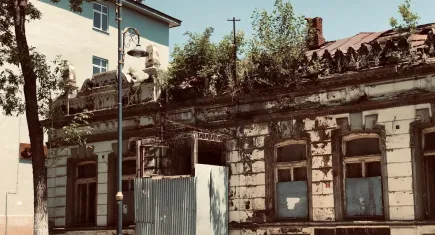 Tarihi binanın üzerinde filizlenen ağaçlar tehlike saçıyor