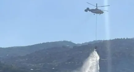 Torbalı'daki orman yangını kontrol altında