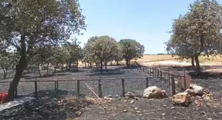 12 can alan Diyarbakır ve Mardin arasındaki yangında araştırmalar sürüyor