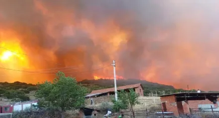 Manisa'da yangının ağır bilançosu: 4 ev, 1 ağıl, 2 motosiklet...