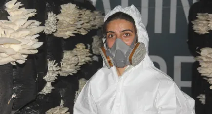 Memleketinde mantar üretip ekonomiye katkı sağlıyor