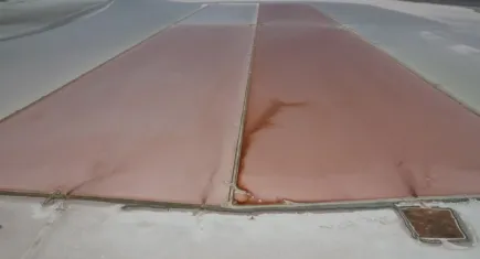 Şifa kaynağı Tuz Gölü'nün rengi pembe oldu