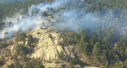 Aydın'daki yangın kontrol altında: 22 dönüm karaçam ormanı zarar gördü