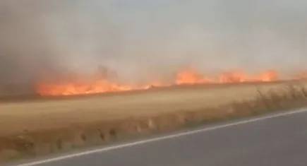 180 dönüm ekili buğday yandı