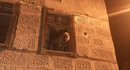 20 gündür aranıyordu: Harabe binada ölüme terk edilmiş halde bulundu