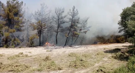 Denizli’de orman yangını: Bölgeye itfaiye ekipleri sevk edildi