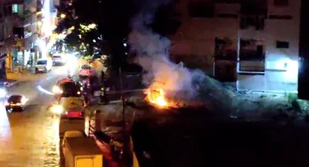 Aydın'da park halindeki fayton yandı