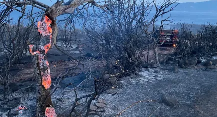 Çanakkale'deki orman yangını kontrol altına alındı