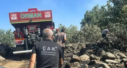 Diyarbakır'da orman yangını