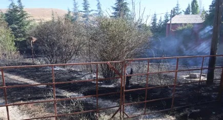 Elazığ'da örtü ve bahçe yangını çıktı
