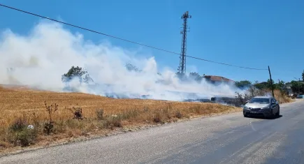 İzmir Karayolu'nda yangın!