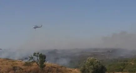 Didim'de makilik alanda yangın