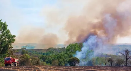 Edirne'de yangın: Hasat edilmemiş buğday tarlası alev aldı