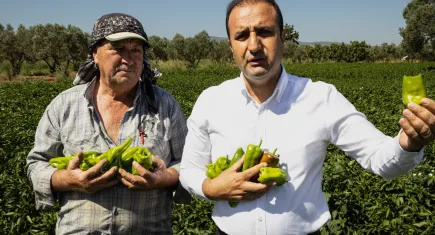 İtalyanlardan Arslanlar biberine özel ilgi