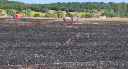 Kırklareli'nde ekili tarla alev alev yandı