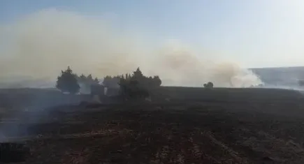 İstanbul’da yangın paniği: Silivri’deki yangın evlere doğru yayıldı
