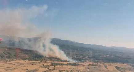 Muğla’da bir yangın daha!