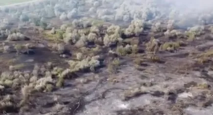 Çankırı’da çıkan yangında 80 dönümlük mera kül oldu