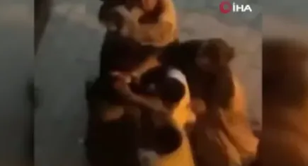 İstanbul’da hırsızlık girişimine sert müdahale: Komşuları ile birlikte dövdü