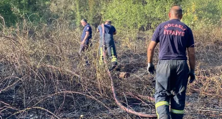 Kocaeli'de ağaçlık alan yandı