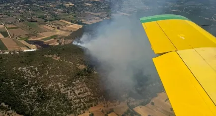 Muğla’da orman yangını: Tarım arazisinde başladı, ormana sıçradı
