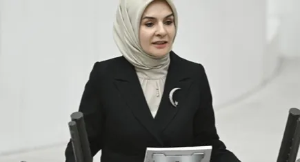 Türkiye'nin koruyucu aile modeli uluslararası ilgi odağı haline geliyor