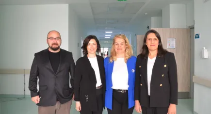 Uzmanlardan beyin pili hakkında her şey