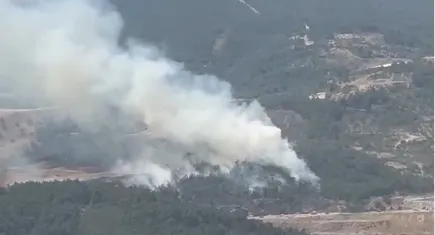 Manisa'da çıkan orman yangınına müdahale ediliyor