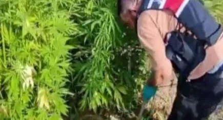 Zehir tacirlerine şok baskın