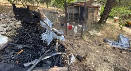 İzmir'deki orman yangının boyutu gün ağarınca ortaya çıktı