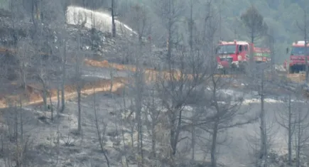 Kepsut yangını kontrol altına alındı